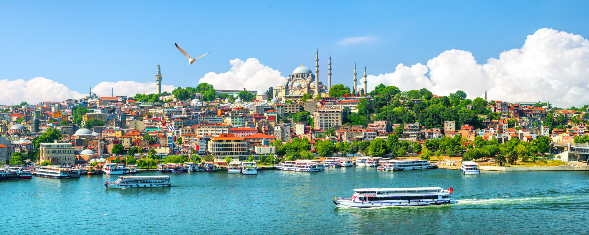 IStock 1241814857
