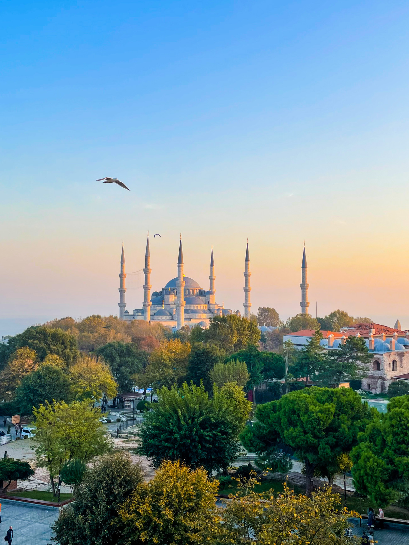 IStock 1445831190